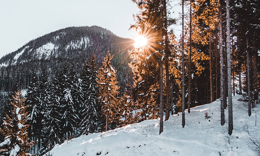 Ravelli Hotel - Ravelli Sporting - Lodges Val di Sole