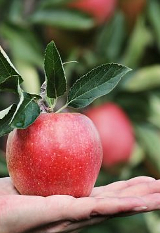 [Translate to Italienisch:] 