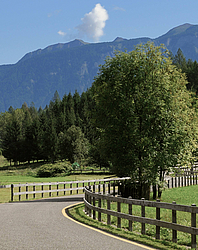Summer holidays Val di Sole are full of possibilities.