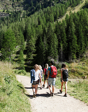 Passeggiate in Val di Sole - Ravelli Hotels Passeggiate in Val di Sole - Ravelli Hotels