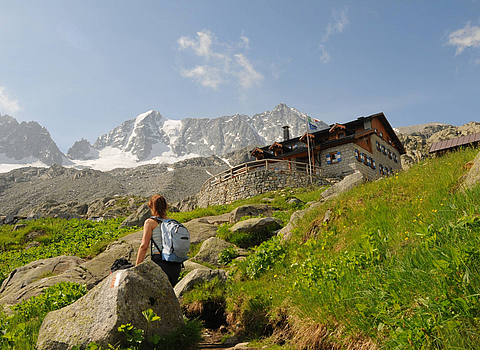 Summer holidays Val di Sole are full of possibilities. Summer holidays Val di Sole are full of possibilities.