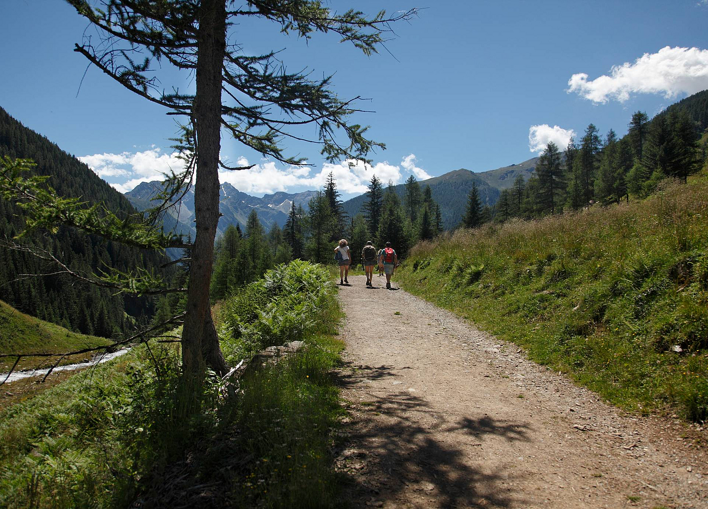 Passeggiate in Val di Sole - Ravelli Hotels Passeggiate in Val di Sole - Ravelli Hotels