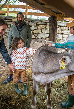 [Translate to Italienisch:] 